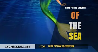 What Fish is Chicken of the Sea? Unveiling the Truth