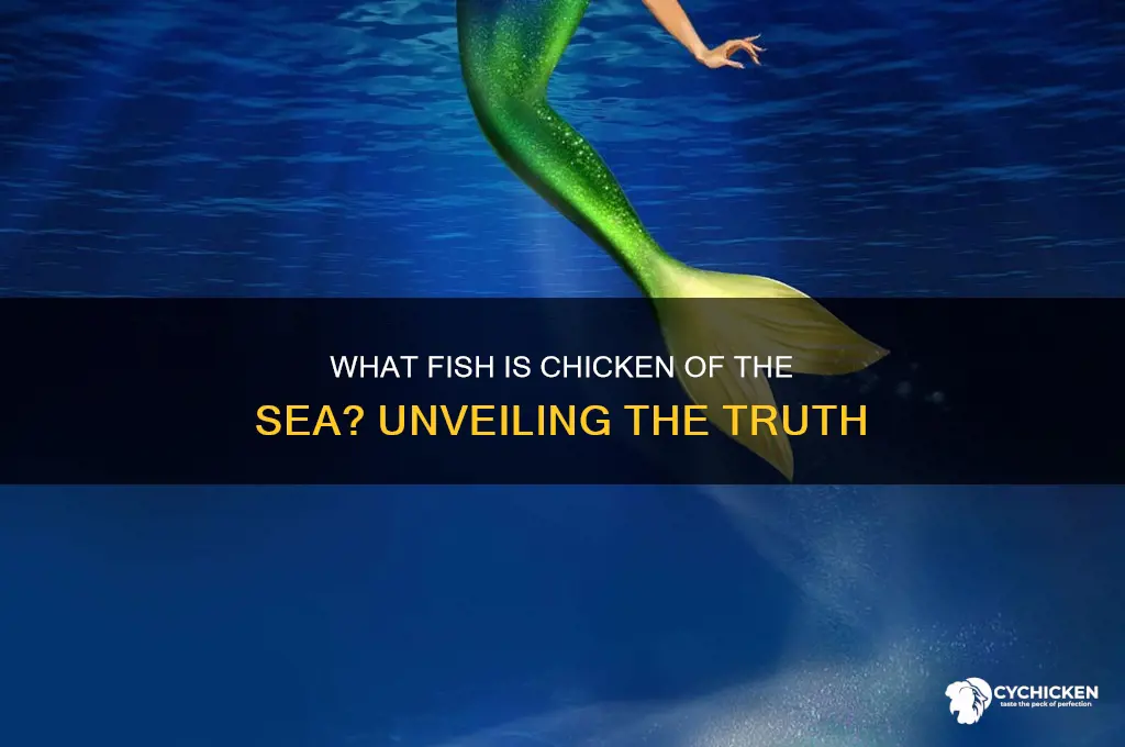 what fish is chicken of the sea