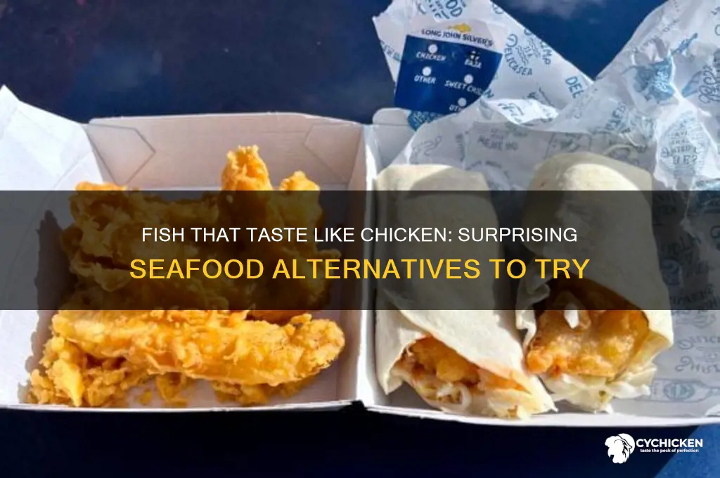 what fish like chicken