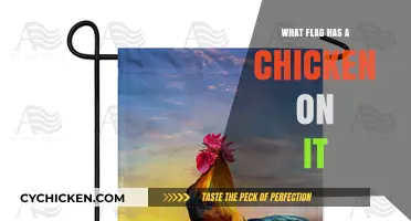 Unusual Flags: Discover the Unique Banner Featuring a Chicken Design
