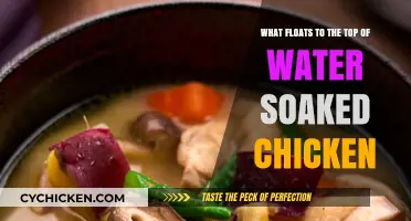 Chicken Soup Science: What Floats to the Top?