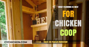 Choosing the Perfect Flooring for Your Chicken Coop: A Guide