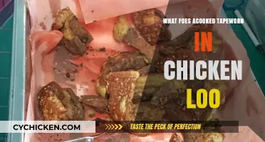 Understanding Tapeworms in Cooked Chicken: Risks, Prevention, and Safe Practices