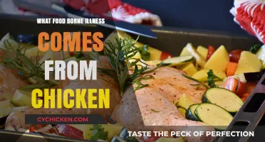 Chicken-Related Food Poisoning: Common Illnesses and Prevention Tips