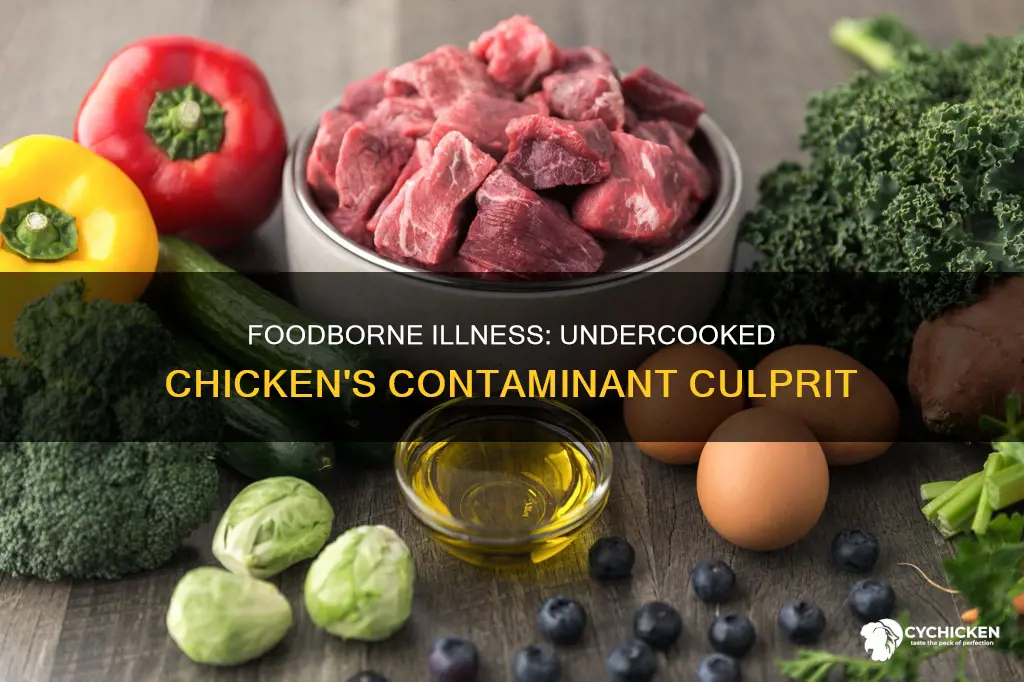 what food contaminant is usually associated with undercooked chicken