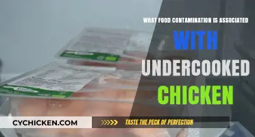 Undercooked Chicken Risks: Common Food Contaminants and Health Hazards