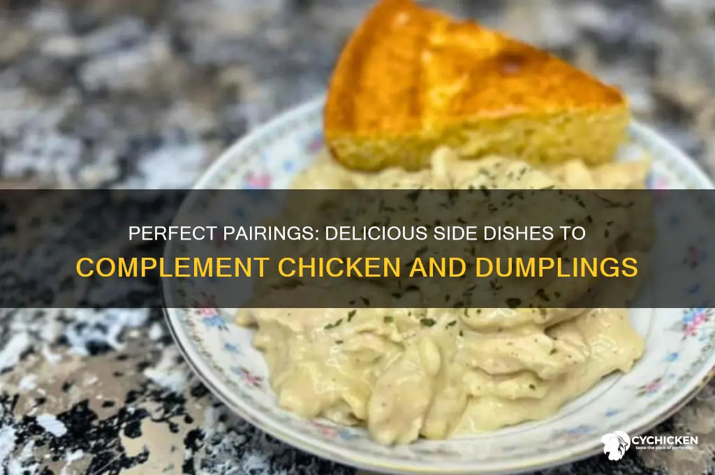 what food goes with chicken and dumplings