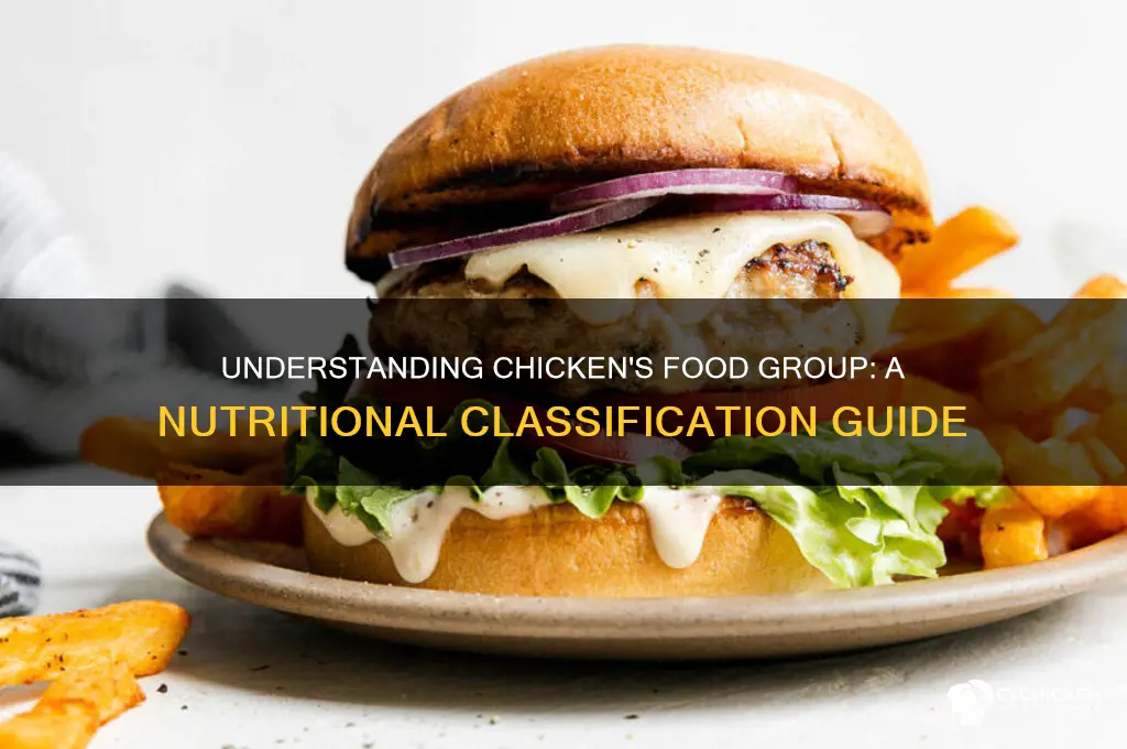 what food group does chicken belong to