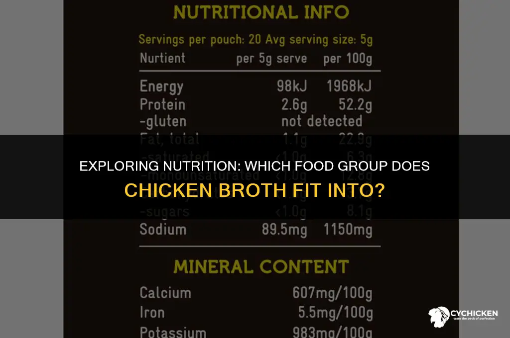 what food group does chicken broth belong to