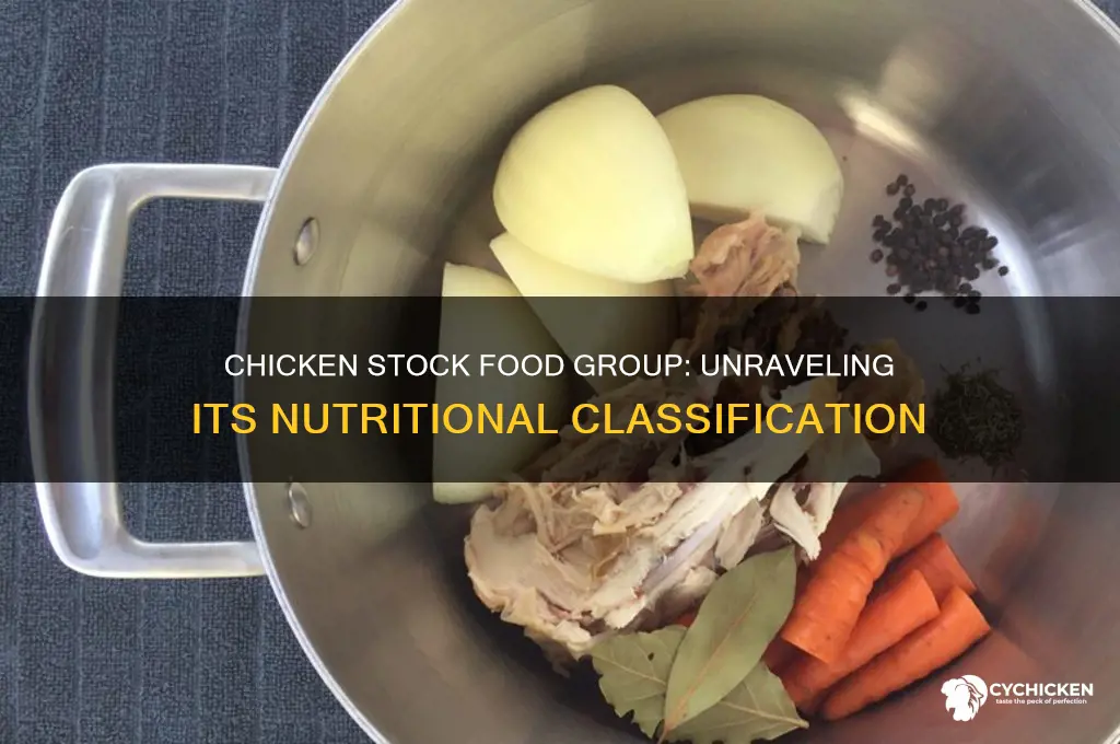 what food group does chicken stockbelong to