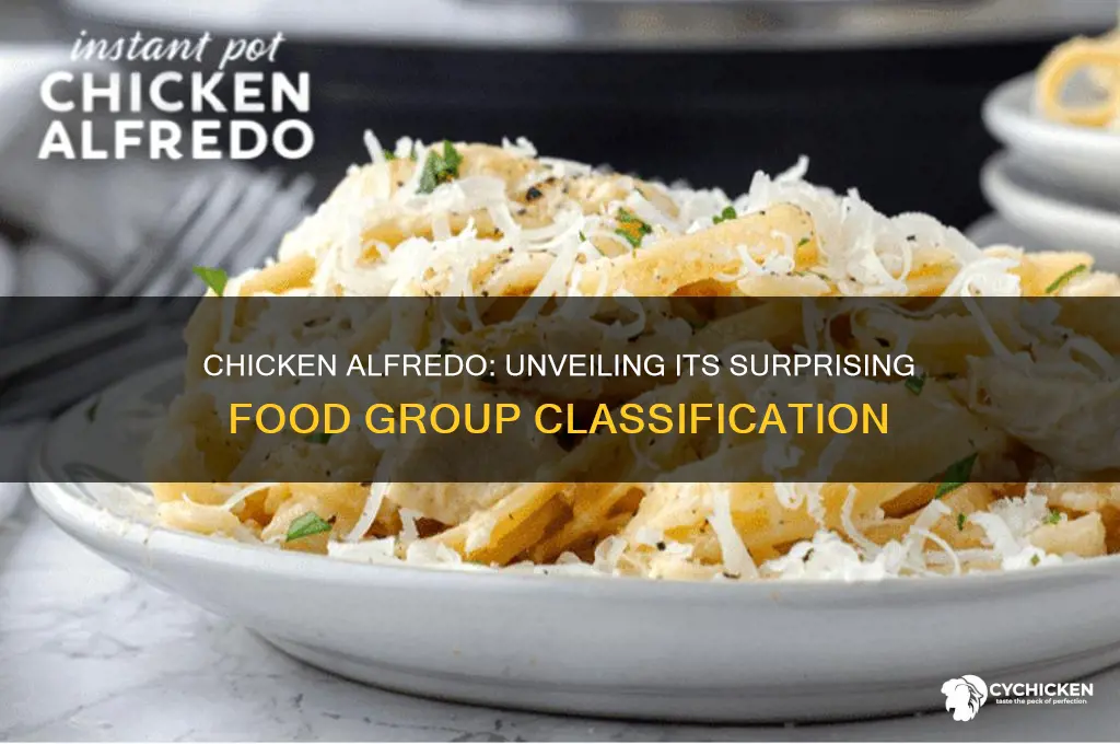 what food group is chicken alfredo in