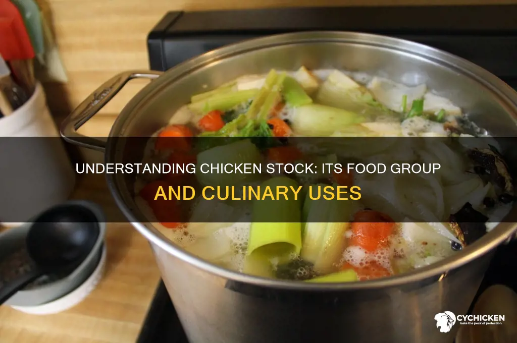 what food group is chicken stock in