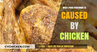 Chicken-Related Food Poisoning: Causes, Symptoms, and Prevention Tips