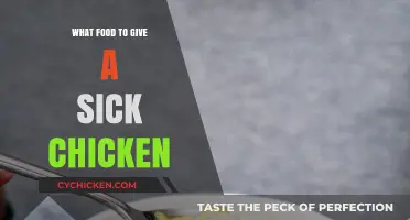 Nourishing Your Sick Chicken: Best Foods for Recovery and Care
