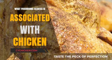 Chicken-Related Food Poisoning: Understanding Common Illnesses and Prevention Tips