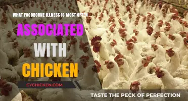 Chicken and Foodborne Illness: What's the Risk?