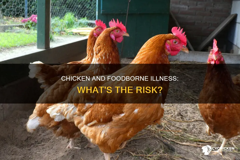 what foodborne illness is most often associated with chicken