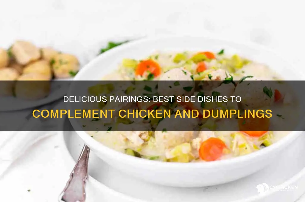 what foods go with chicken and dumplins
