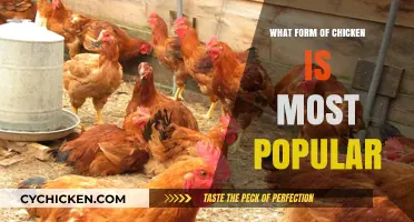 Discover the Most Popular Chicken Form: A Culinary Favorite Explored