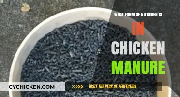 Understanding the Nitrogen Form in Chicken Manure for Better Fertilization