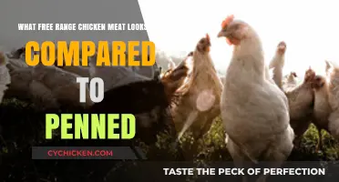 Free Range vs. Penned: Visual Differences in Chicken Meat Revealed