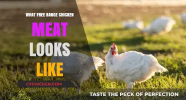 Exploring the Appearance of Free Range Chicken Meat: A Visual Guide