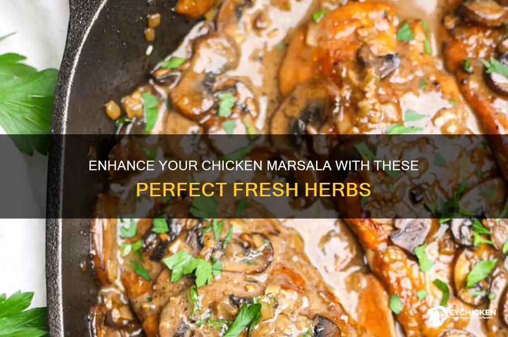 what fresh herb goes with chicken marsala