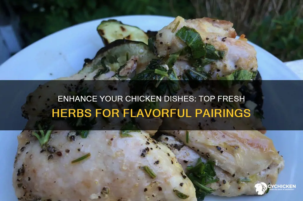 what fresh herbs go well with chicken