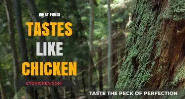 Earth's Umami Secret: Fungi That Taste Like Chicken Explained