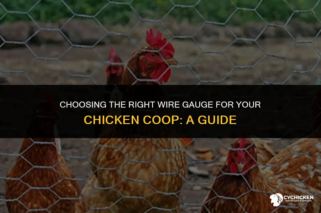what gage wire chicken coop