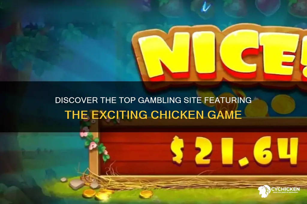 what gambling site has the chicken game