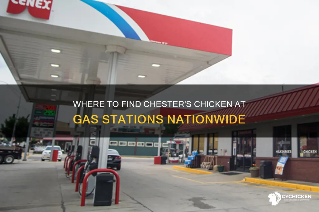 what gas stations have chester