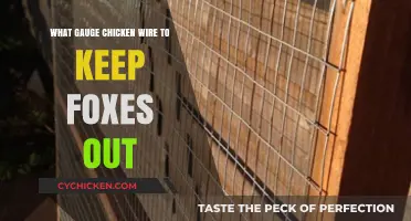 Choosing the Right Chicken Wire Gauge to Deter Foxes Effectively