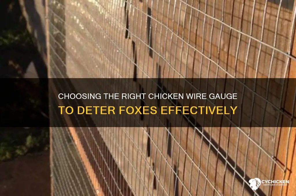 what gauge chicken wire to keep foxes out