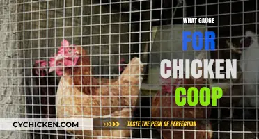 Choosing the Right Gauge for Your Chicken Coop: A Comprehensive Guide