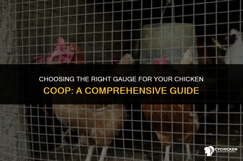 what gauge for chicken coop