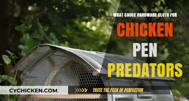Choosing the Right Gauge Hardware Cloth to Protect Chickens from Predators