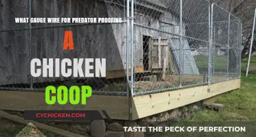 Securing Your Coop: The Ideal Wire Gauge for Predator Proofing