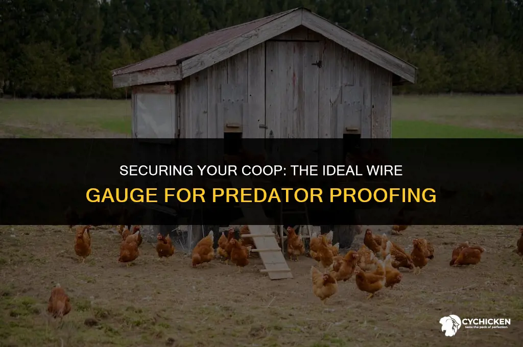 what gauge wire for predator proofing a chicken coop