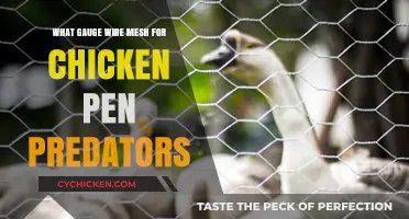 Choosing the Right Gauge Wire Mesh to Protect Chickens from Predators