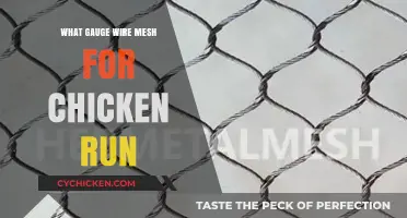 Choosing the Right Wire Mesh Gauge for Your Chicken Run