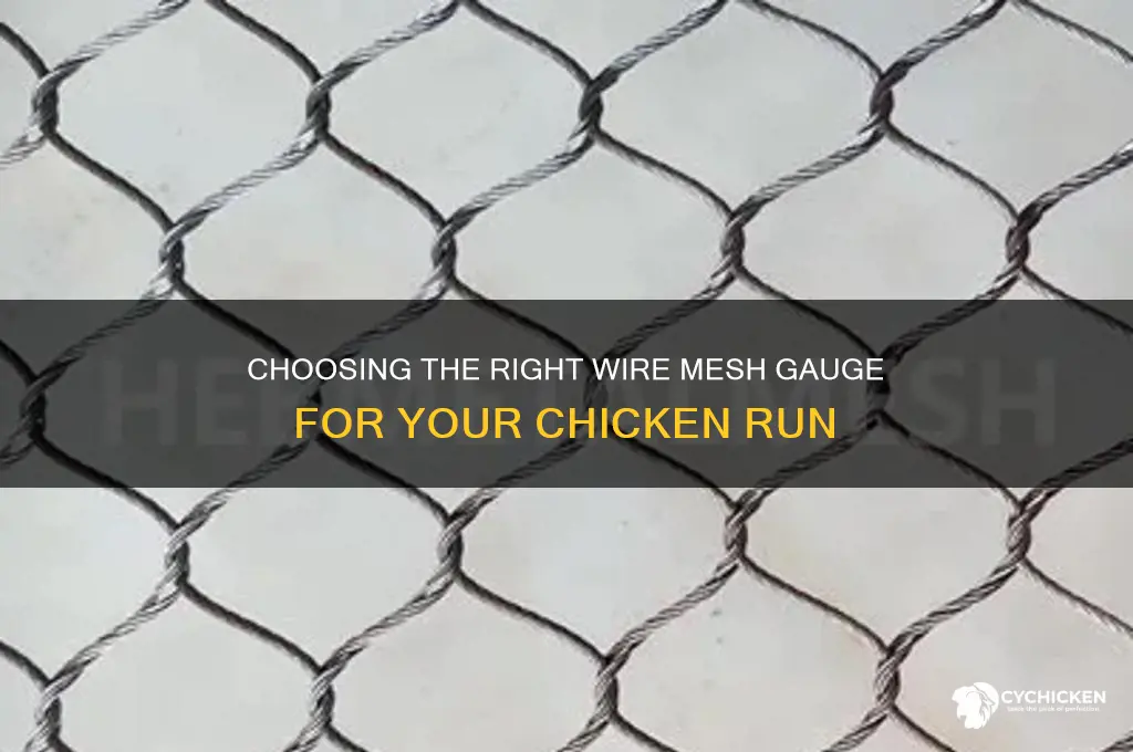 what gauge wire mesh for chicken run