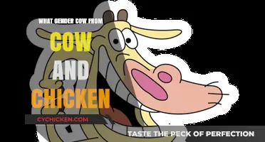 Unraveling the Gender Mystery of Cow from Cow and Chicken