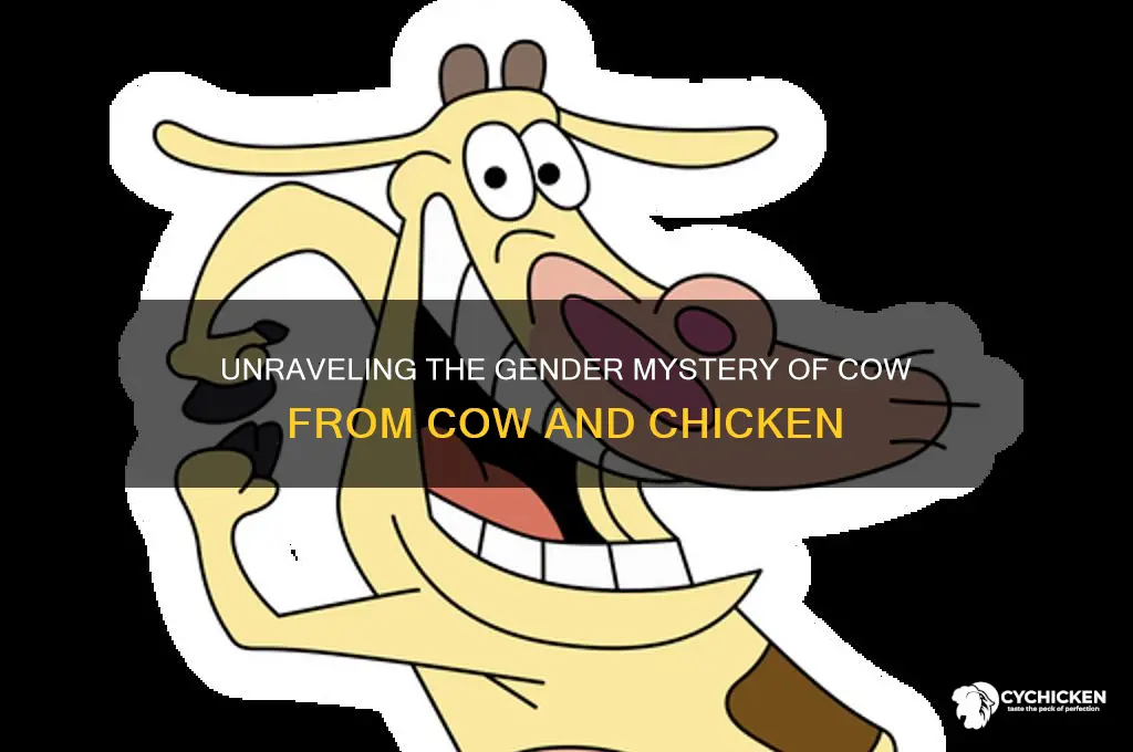 what gender cow from cow and chicken