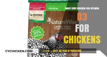 Boosting Chicken Health: Vitamin D3 Sources for Your Flock