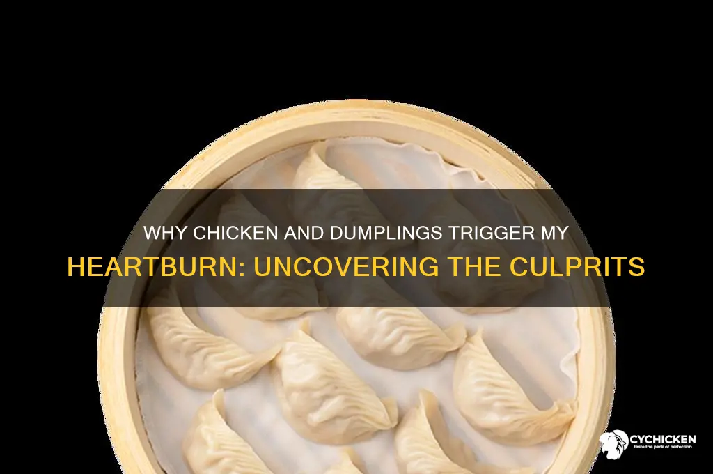 what gives me heartburn in chicken and dumplings