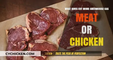 Meat vs. Chicken: Which Produces More Greenhouse Gas?