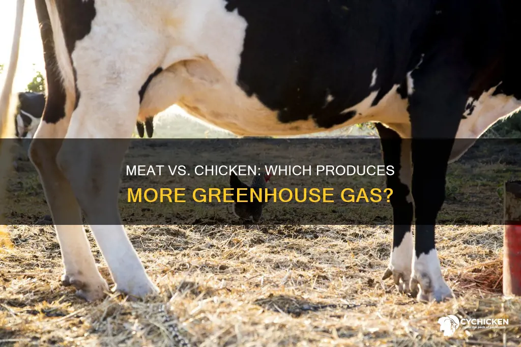 what gives out more greenhouse gas meat or chicken