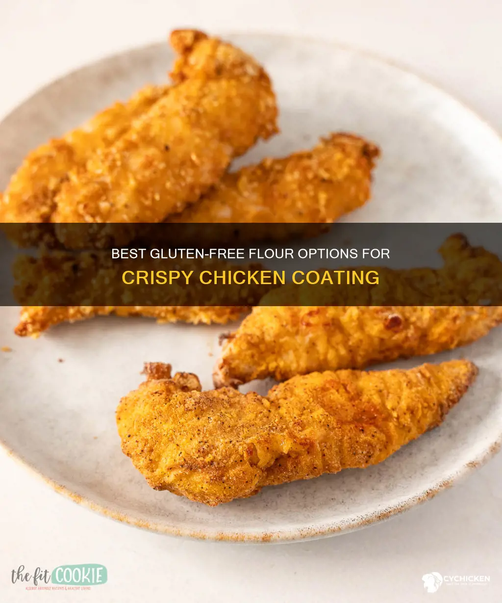 what gluten free flour is best for coating chicken