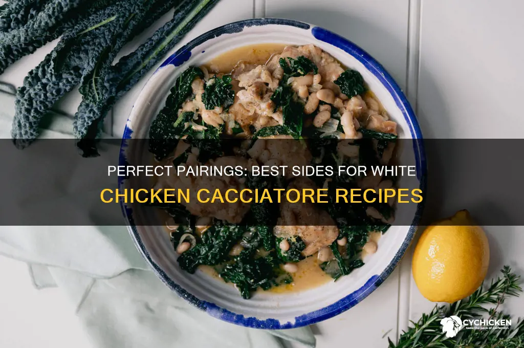 what goes best with white chicken cacciatore